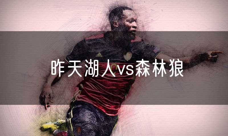 昨天湖人vs森林狼