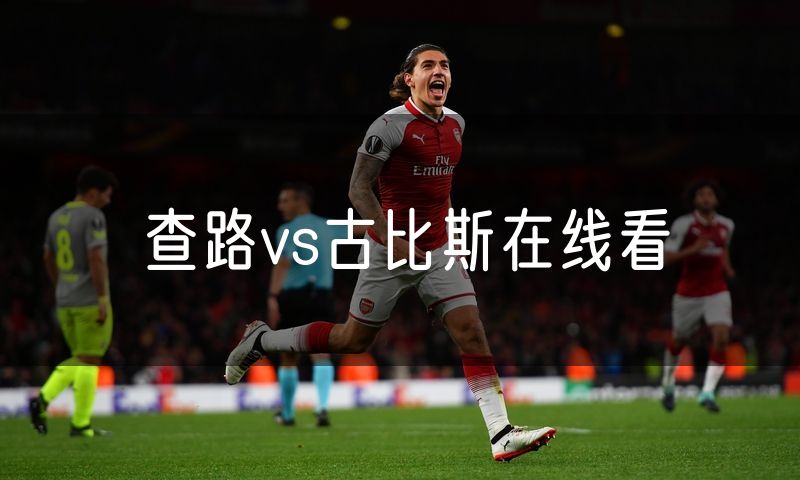 查路vs古比斯在线看