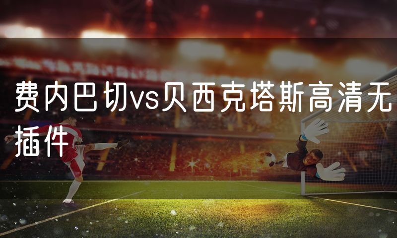 费内巴切vs贝西克塔斯高清无插件
