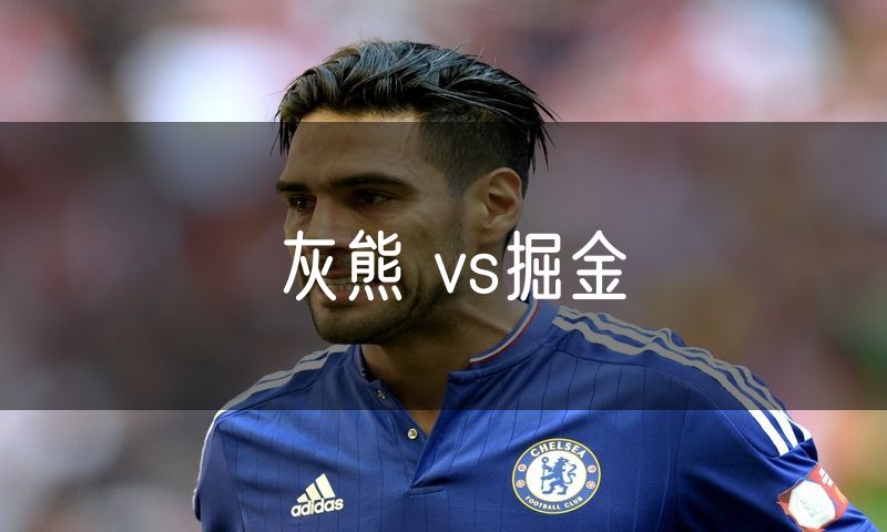 灰熊 vs掘金