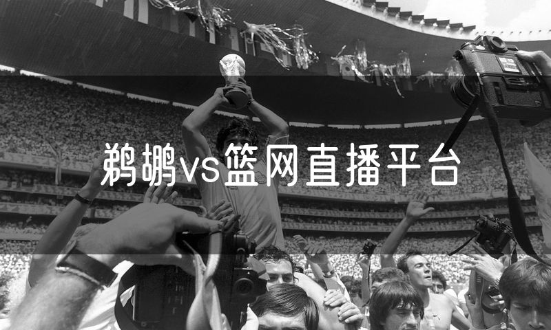 鹈鹕vs篮网直播平台