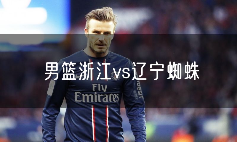 男篮浙江vs辽宁蜘蛛