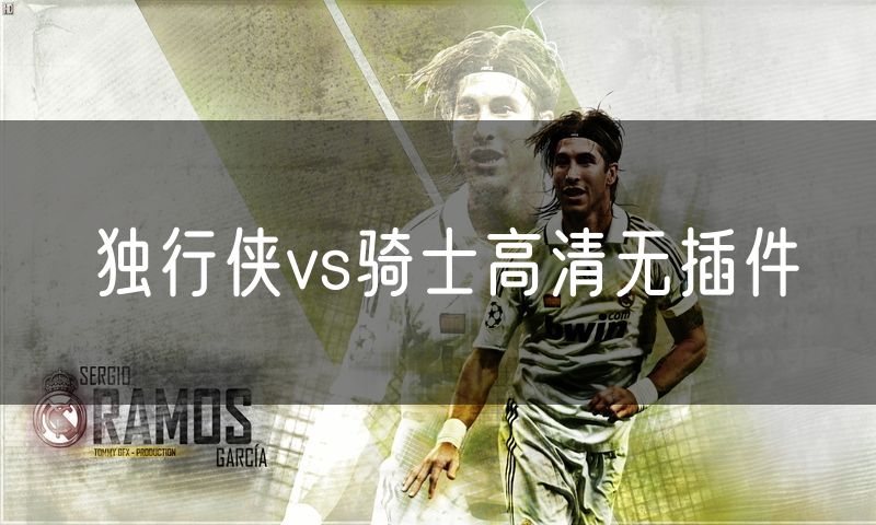 独行侠vs骑士高清无插件