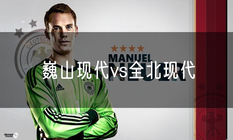 巍山现代vs全北现代