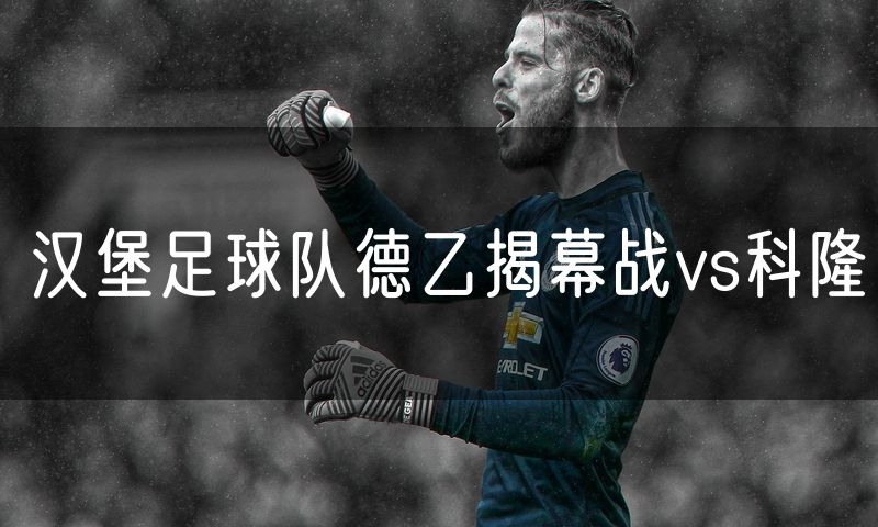 汉堡足球队德乙揭幕战vs科隆 汉堡足球队德乙揭幕战vs科隆