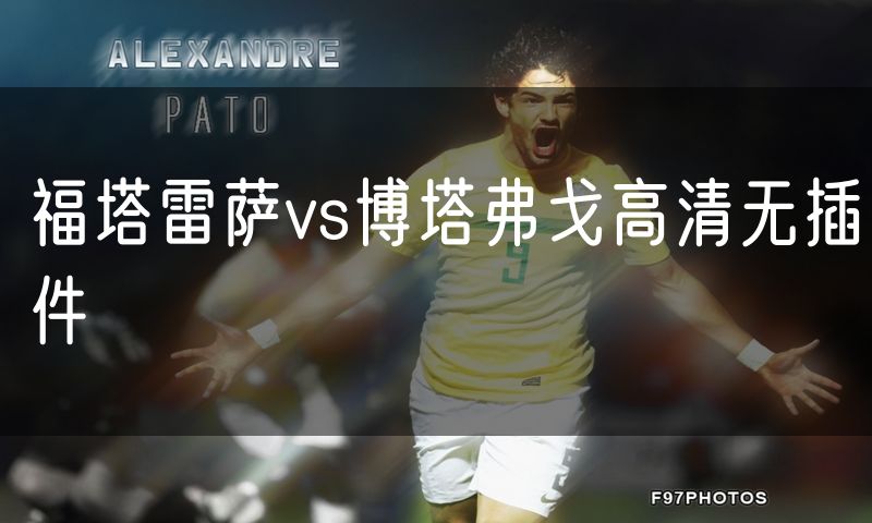 福塔雷萨vs博塔弗戈高清无插件