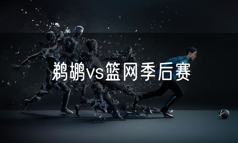 鹈鹕vs篮网季后赛