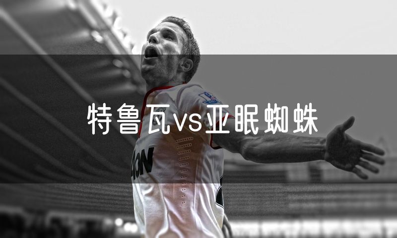 特鲁瓦vs亚眠蜘蛛