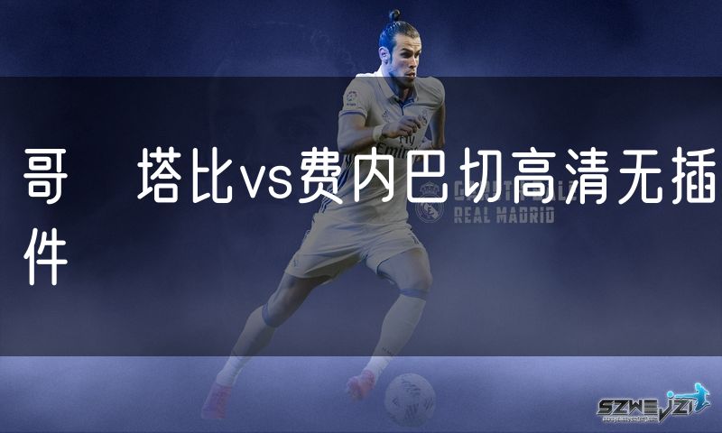 哥茲塔比vs费内巴切高清无插件