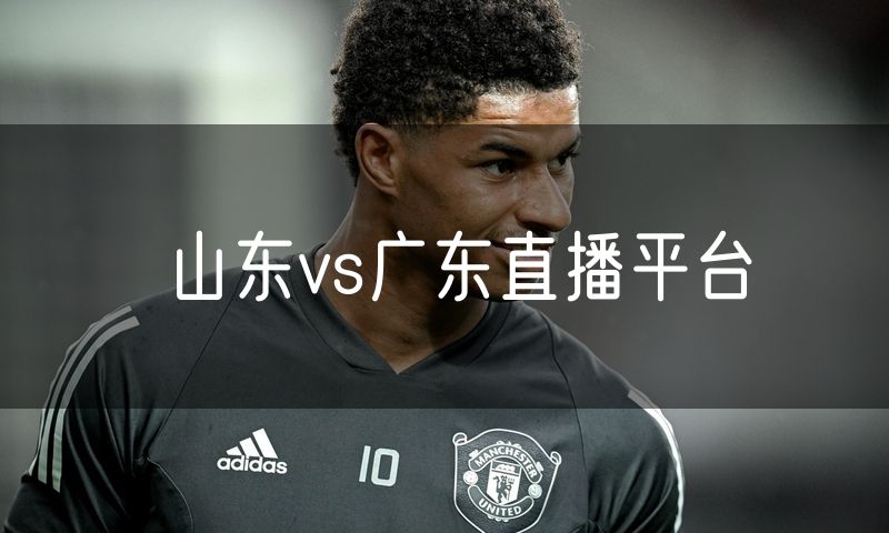 山东vs广东直播平台