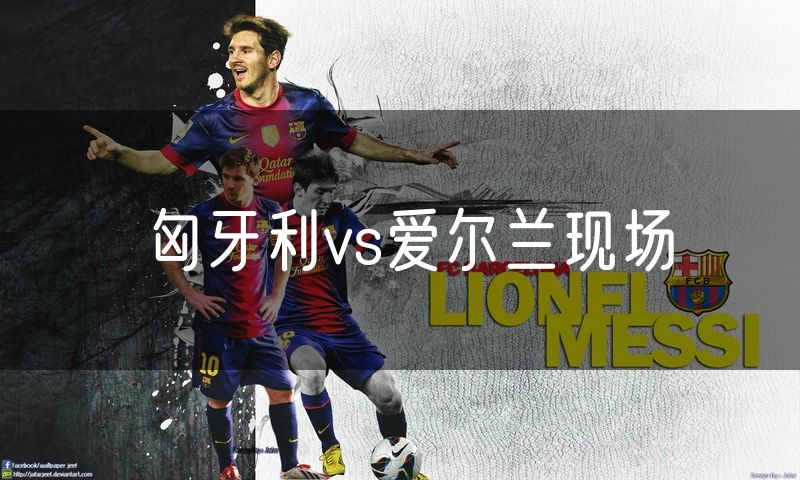 匈牙利vs爱尔兰现场 匈牙利vs爱尔兰现场