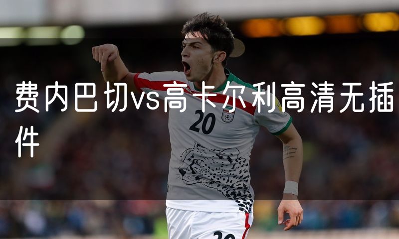 费内巴切vs高卡尔利高清无插件 费内巴切vs高卡尔利高清无插件