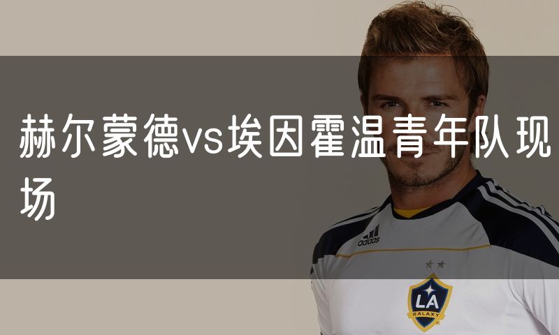 赫尔蒙德vs埃因霍温青年队现场