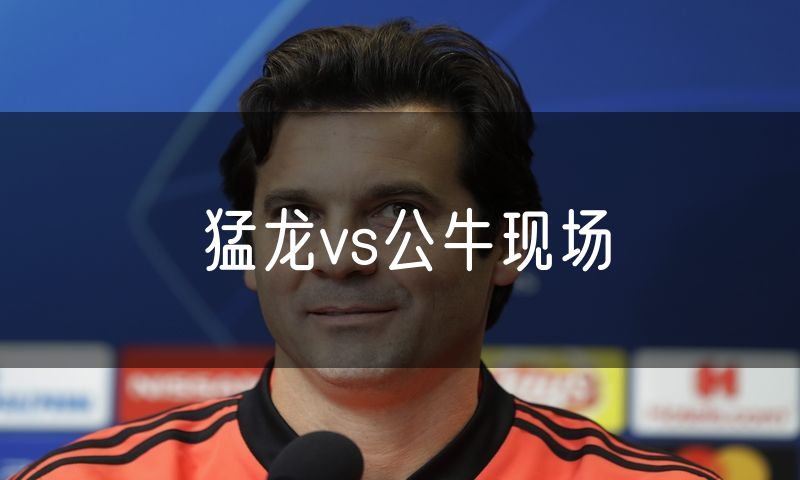 猛龙vs公牛现场