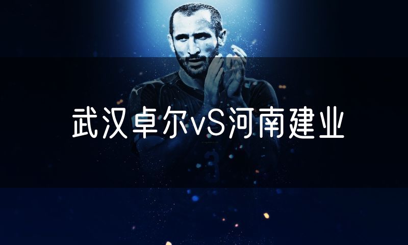 武汉卓尔vS河南建业 武汉卓尔vS河南建业
