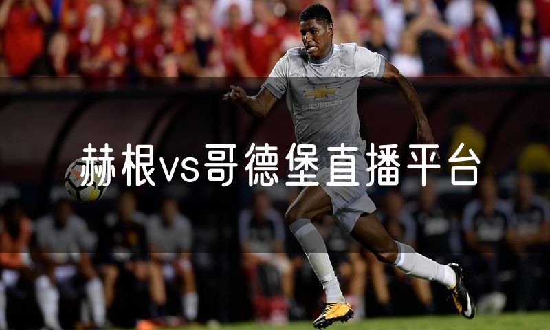 赫根vs哥德堡直播平台 赫根vs哥德堡直播平台