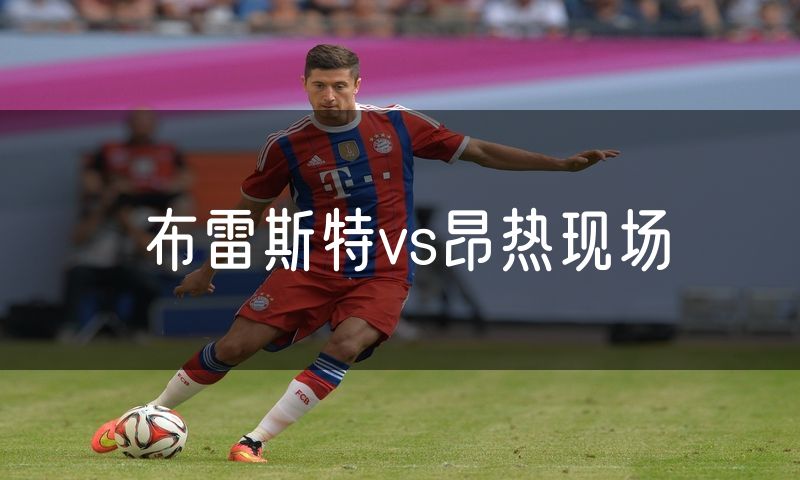 布雷斯特vs昂热现场