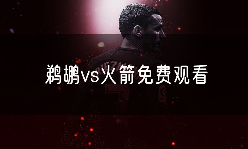 鹈鹕vs火箭免费观看
