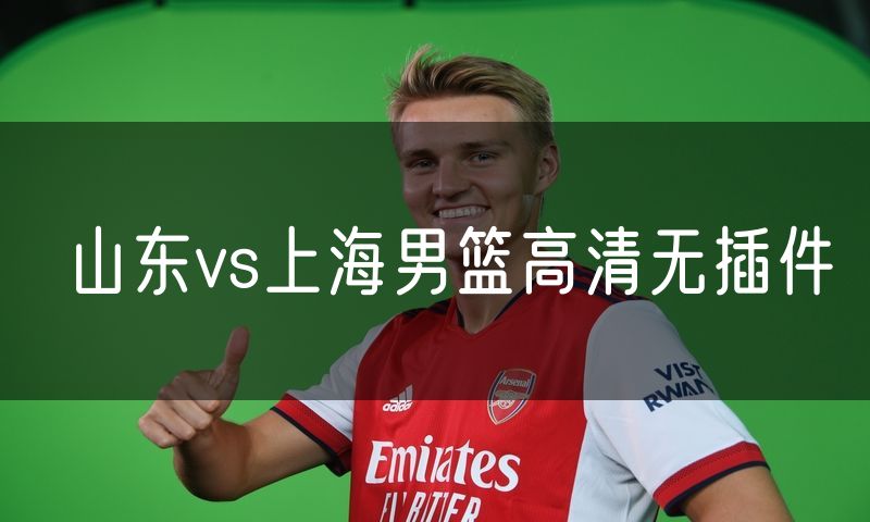 山东vs上海男篮高清无插件 山东vs上海男篮高清无插件