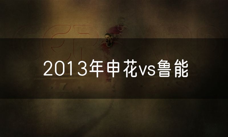 2013年申花vs鲁能
