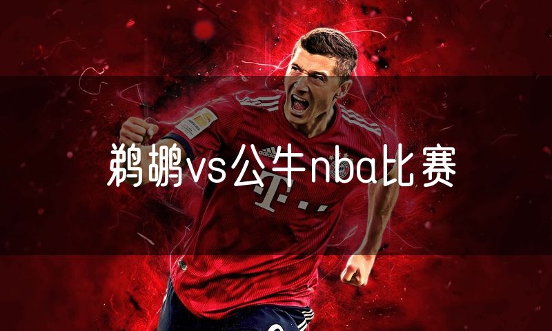 鹈鹕vs公牛nba比赛