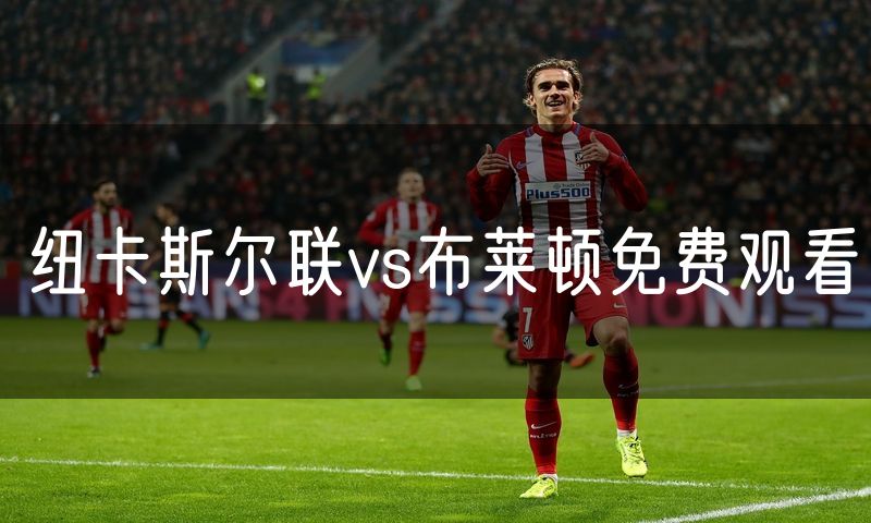 纽卡斯尔联vs布莱顿免费观看