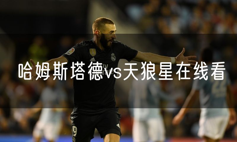 哈姆斯塔德vs天狼星在线看 哈姆斯塔德vs天狼星在线看