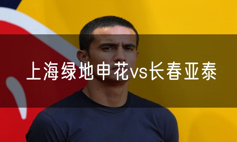 上海绿地申花vs长春亚泰 上海绿地申花vs长春亚泰