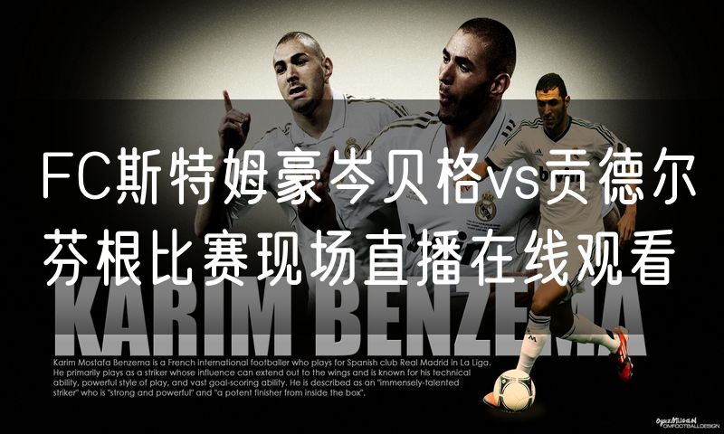 FC斯特姆豪岑贝格vs贡德尔芬根比赛现场直播在线观看