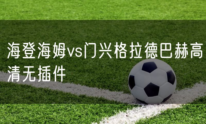 海登海姆vs门兴格拉德巴赫高清无插件