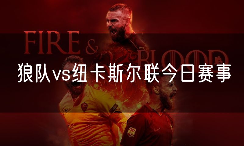 狼队vs纽卡斯尔联今日赛事