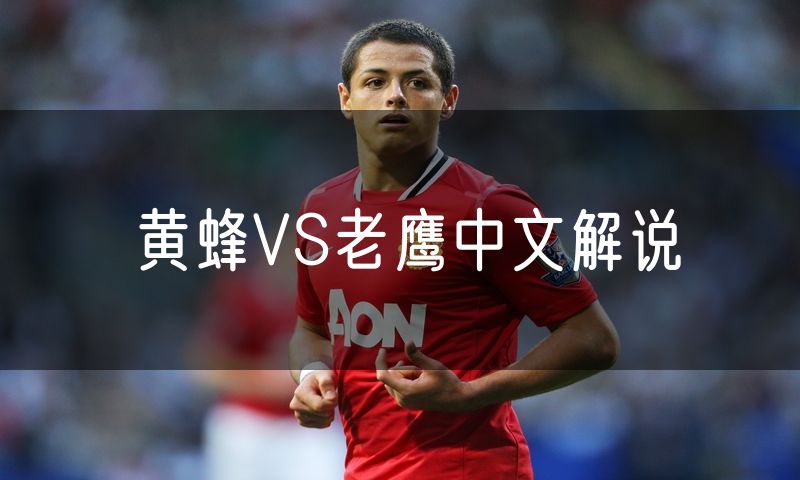 黄蜂VS老鹰中文解说