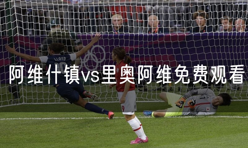 阿维什镇vs里奥阿维免费观看