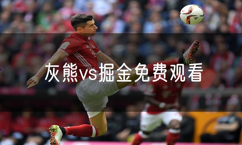 灰熊vs掘金免费观看