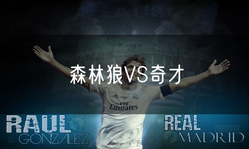 森林狼VS奇才