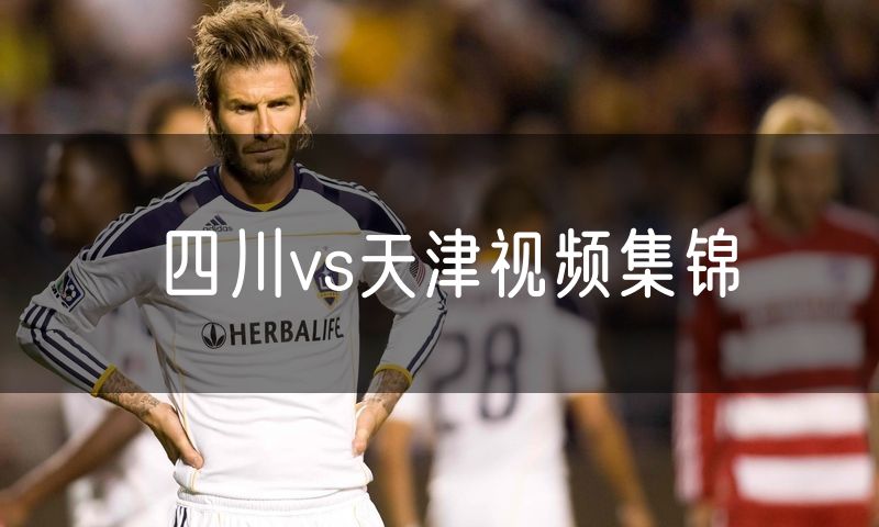 四川vs天津视频集锦