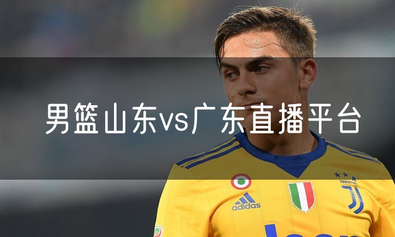 男篮山东vs广东直播平台 男篮山东vs广东直播平台