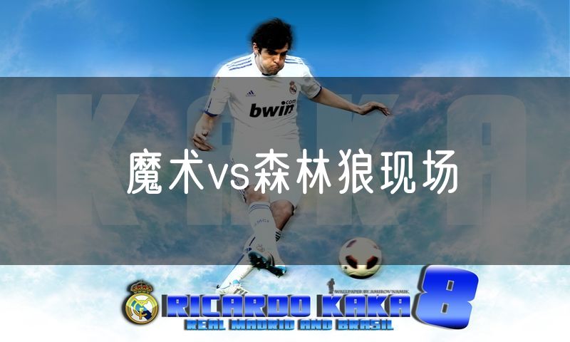 魔术vs森林狼现场