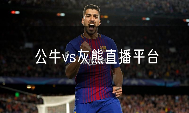 公牛vs灰熊直播平台