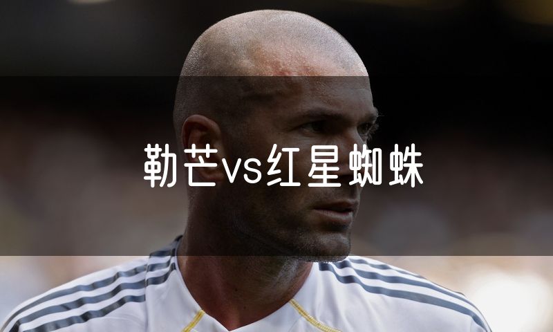 勒芒vs红星蜘蛛