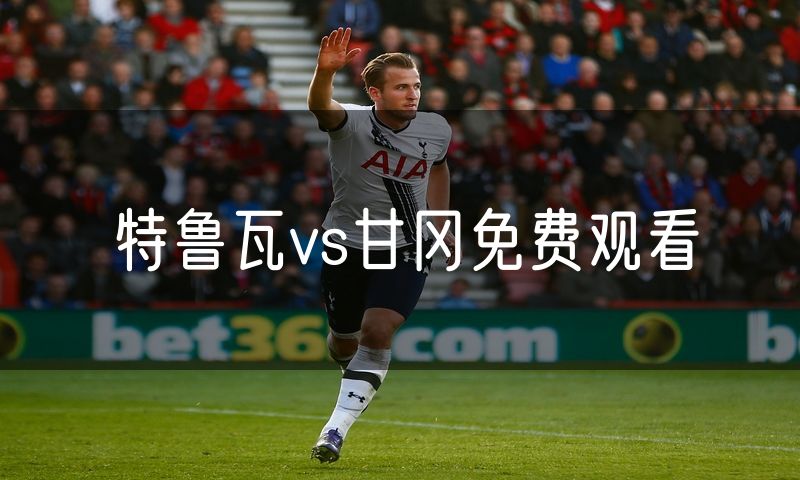 特鲁瓦vs甘冈免费观看