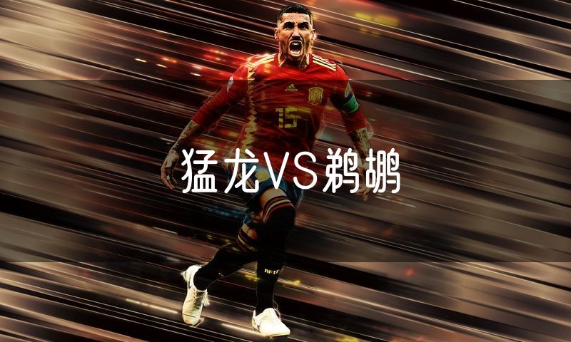 猛龙VS鹈鹕