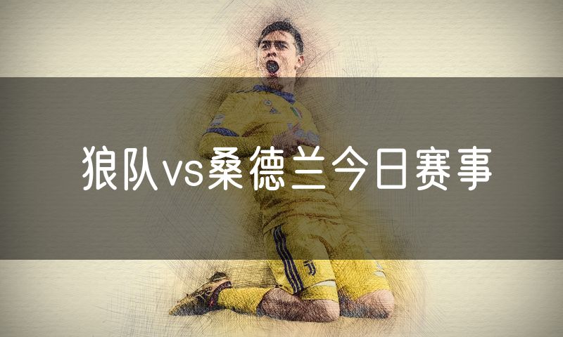 狼队vs桑德兰今日赛事 狼队vs桑德兰今日赛事