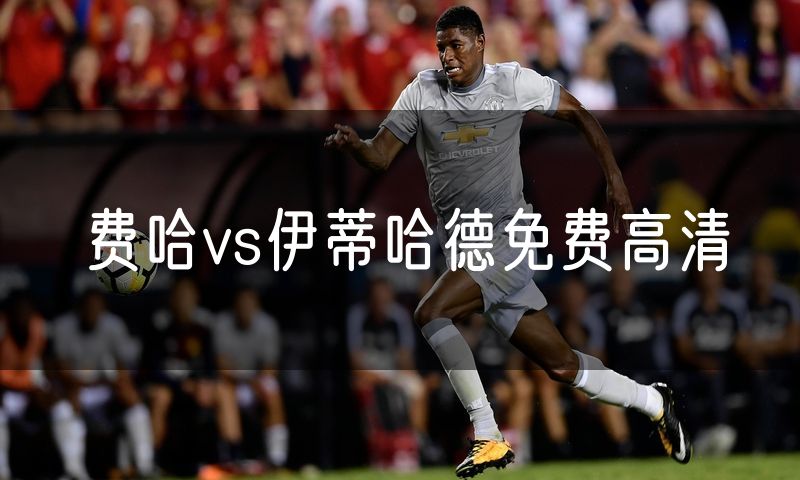 费哈vs伊蒂哈德免费高清