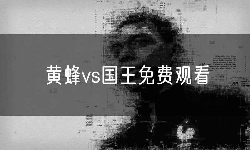 黄蜂vs国王免费观看