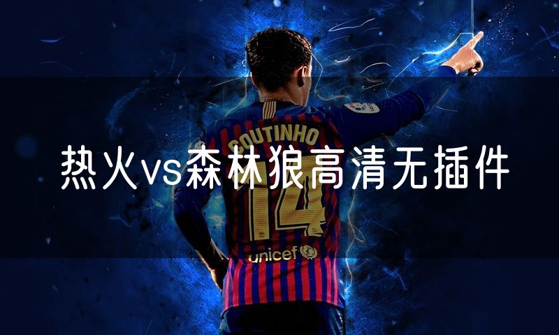 热火vs森林狼高清无插件