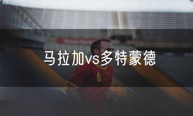 马拉加vs多特蒙德