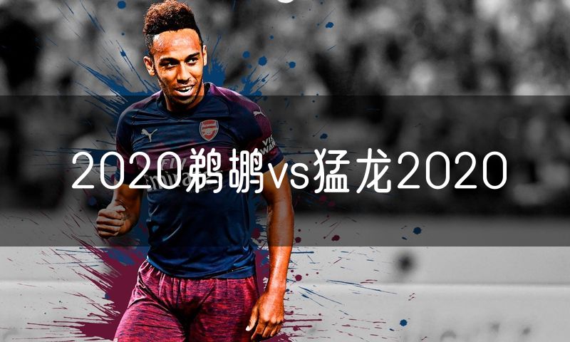 2020鹈鹕vs猛龙2020 2020鹈鹕vs猛龙2020