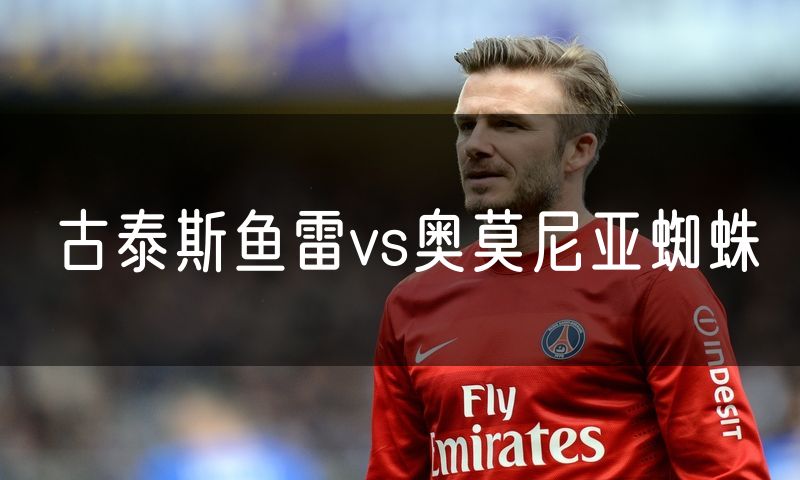 古泰斯鱼雷vs奥莫尼亚蜘蛛 古泰斯鱼雷vs奥莫尼亚蜘蛛