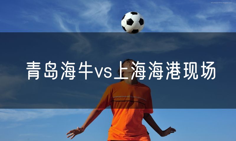 青岛海牛vs上海海港现场